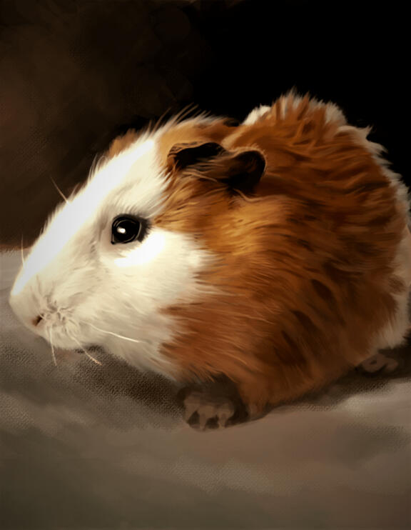 Rocket